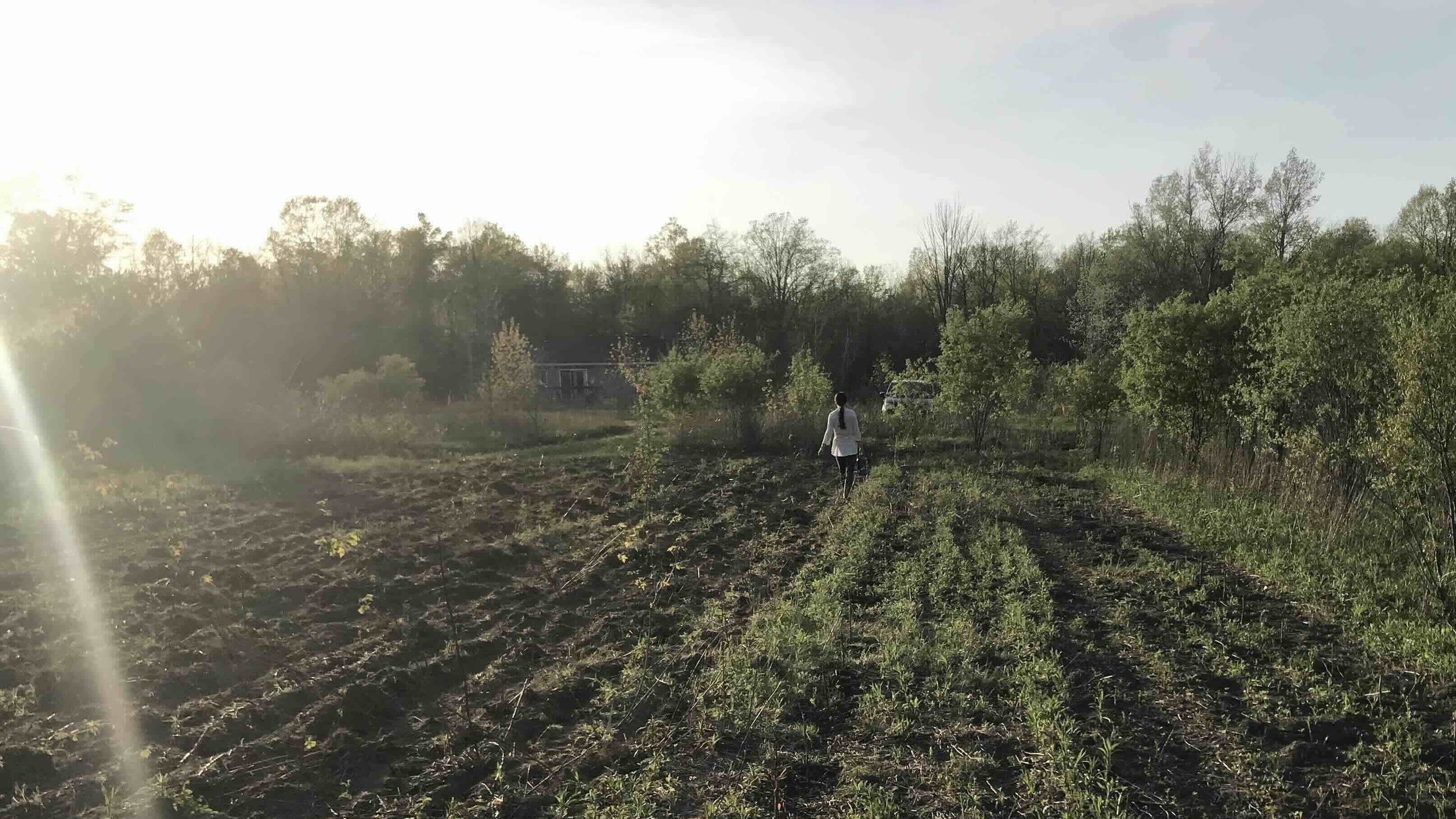 Garden of wedo farms