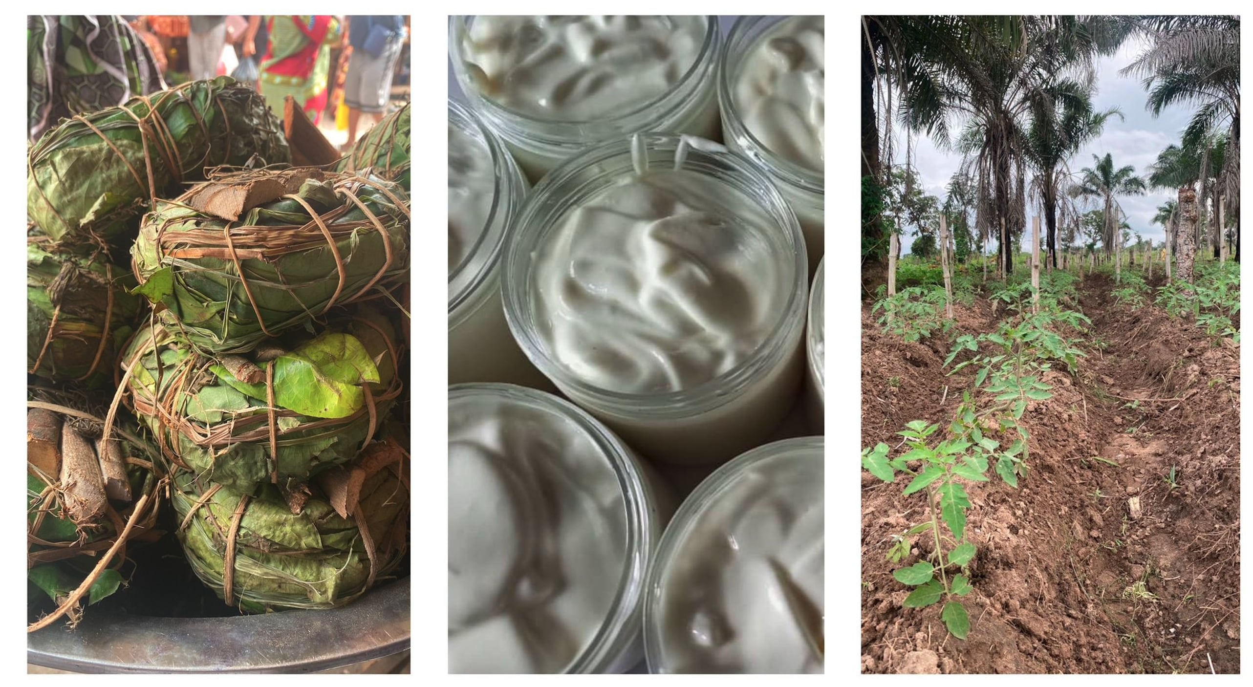 Our Natural organic products